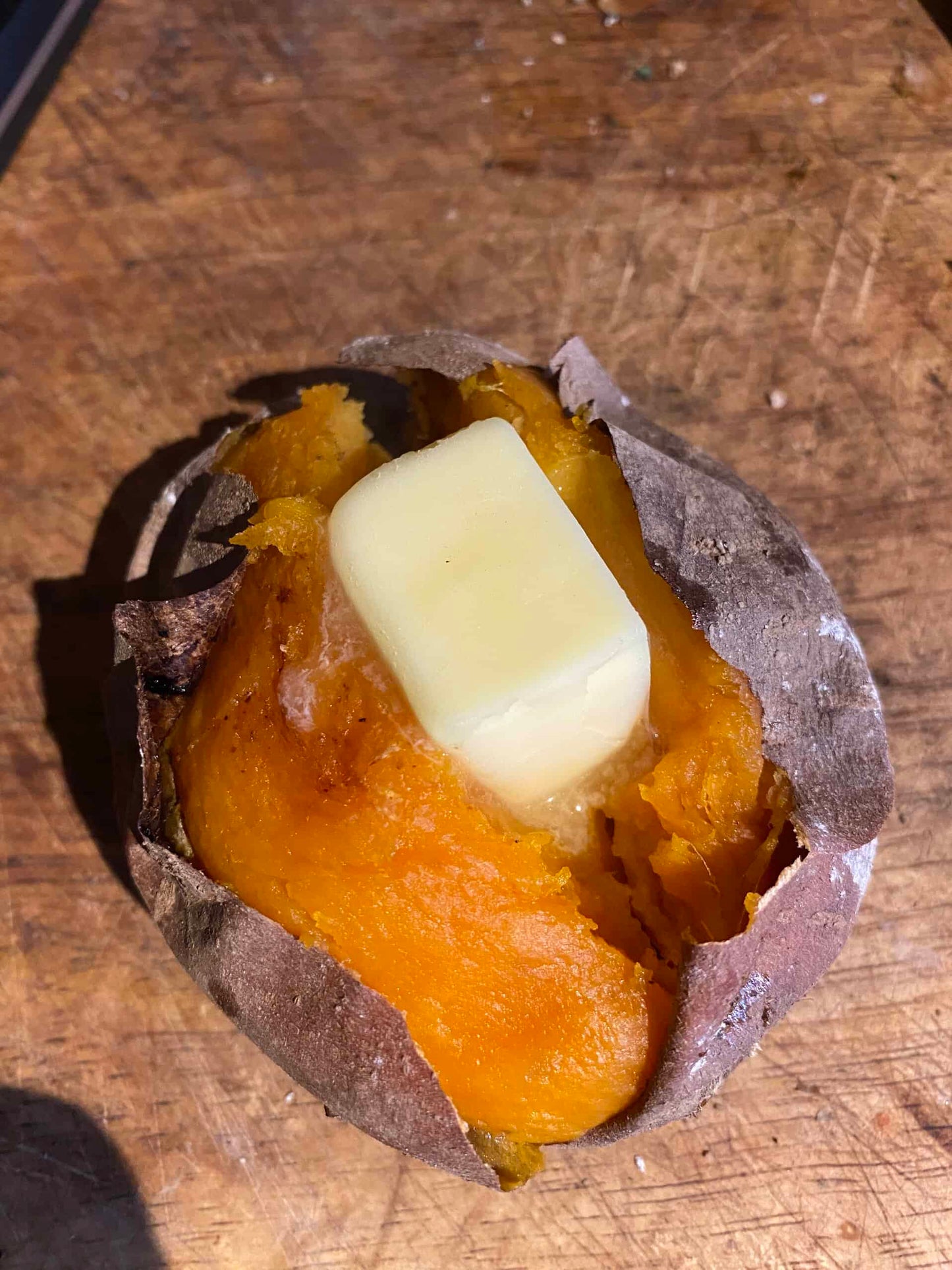 Sweet Potato Starts - 'Amish Beauregard' - NATURALLY GROWN