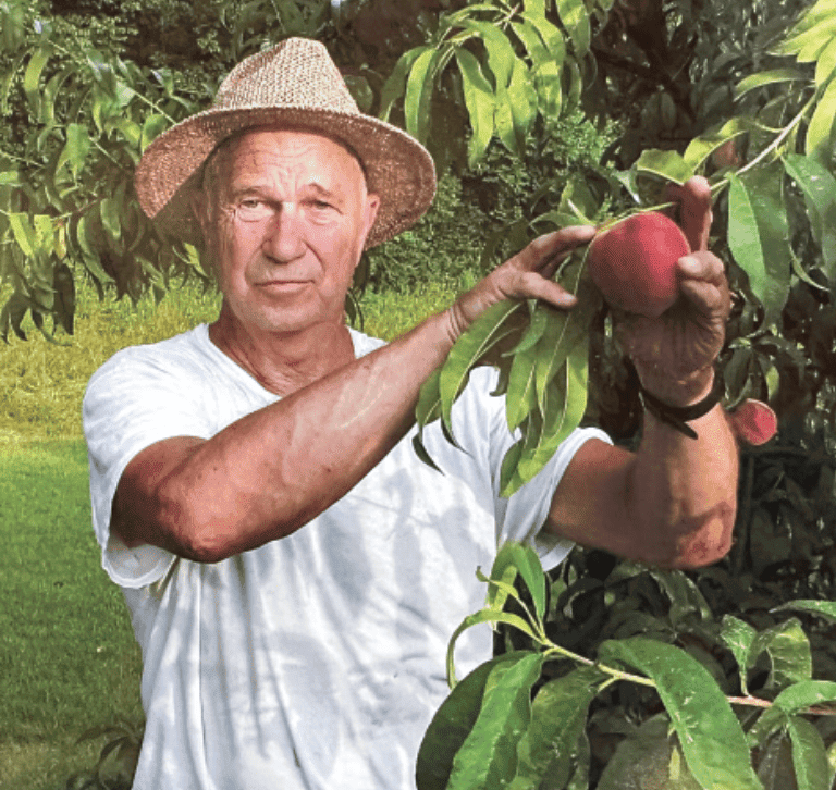 Sweet Joe Peach | Peaceful Heritage Nursery