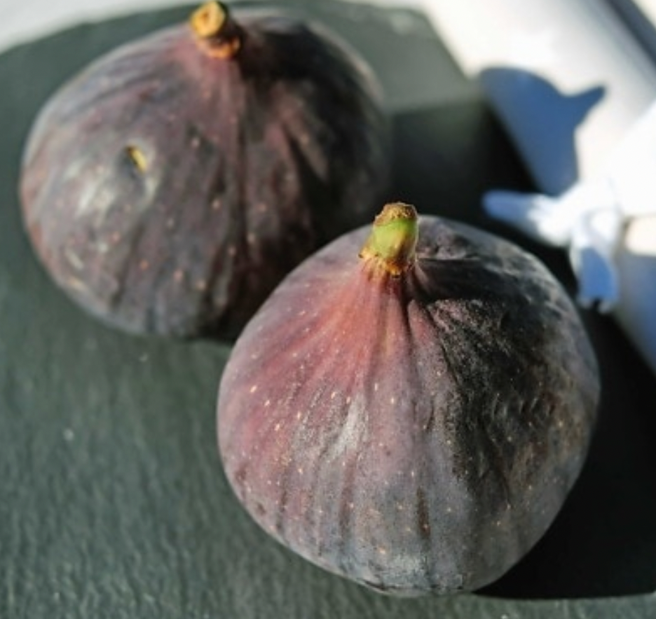 Black Madeira Fig | Naturally Grown