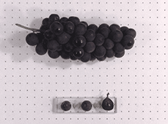 Mericadel Grape - Naturally Grown