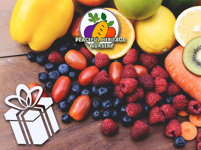 Gift Card 1 | Peaceful Heritage Nursery