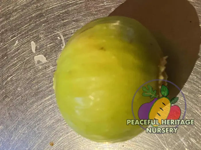 Peter’s Honey Fig - Naturally Grown ORGANIC