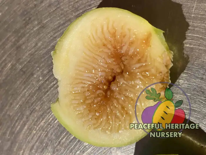 Peter’s Honey Fig - Naturally Grown ORGANIC
