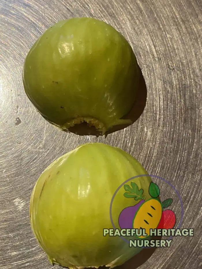 Peter’s Honey Fig - Naturally Grown ORGANIC