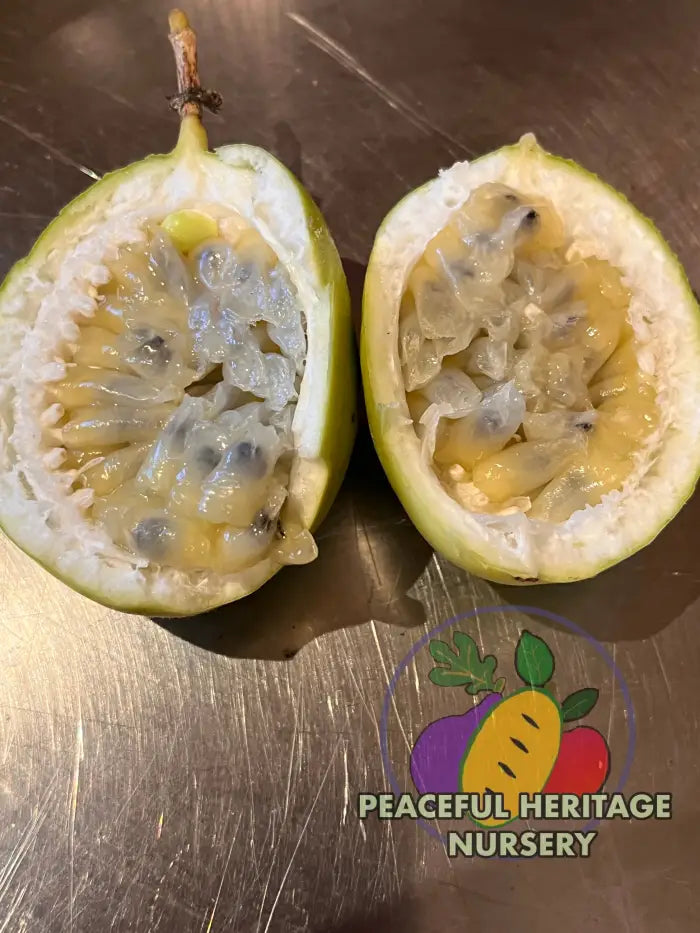 Superior Passionfruit Seed Packet | Peaceful Heritage Nursery Seed