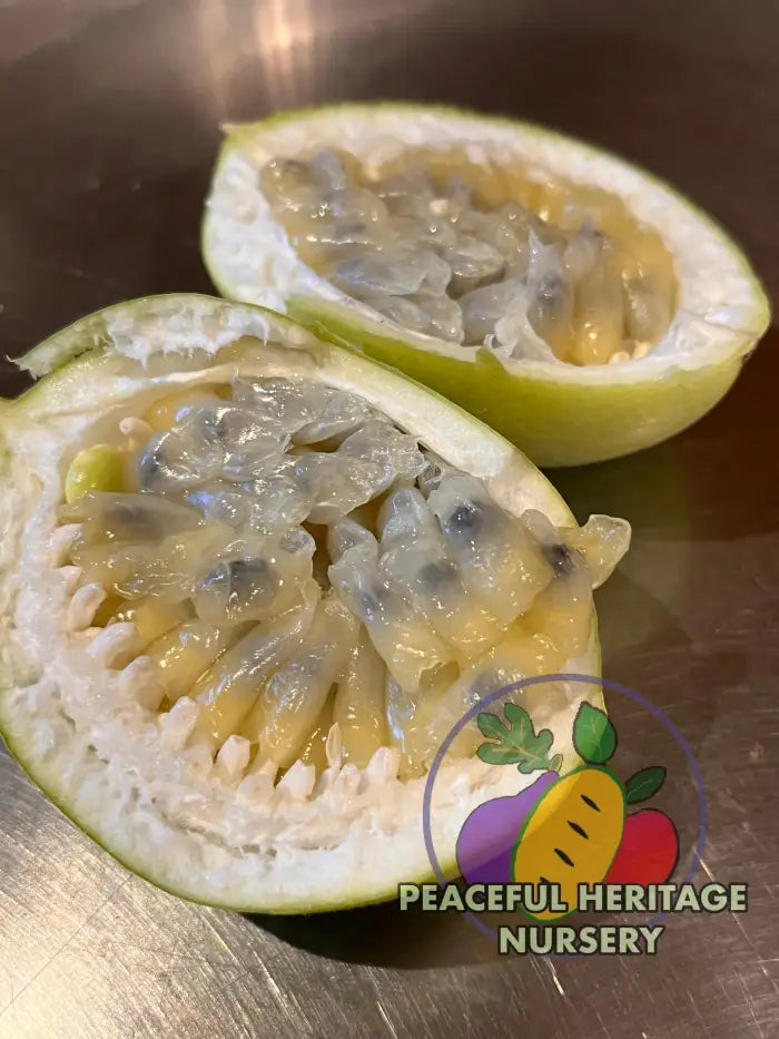 Superior Passionfruit Seed Packet | Peaceful Heritage Nursery Seed