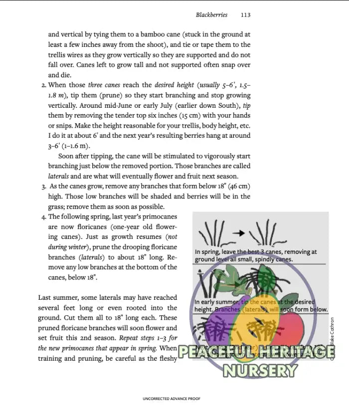 ’The Berry Grower’ by Blake Cothron Books and Supplies