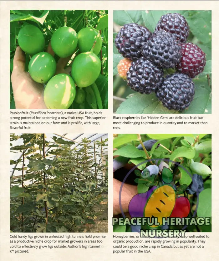 ’The Berry Grower’ by Blake Cothron Books and Supplies