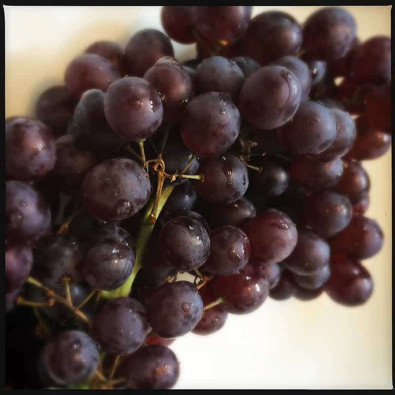 Grape Vines For Sale