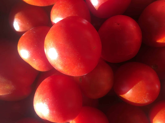Chadwick Cherry Tomato Seed - NATURALLY GROWN