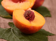 Reliance Peach | Peaceful Heritage Nursery