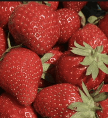 Flavorfest Strawberry