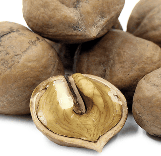 Heartnut Seedlings