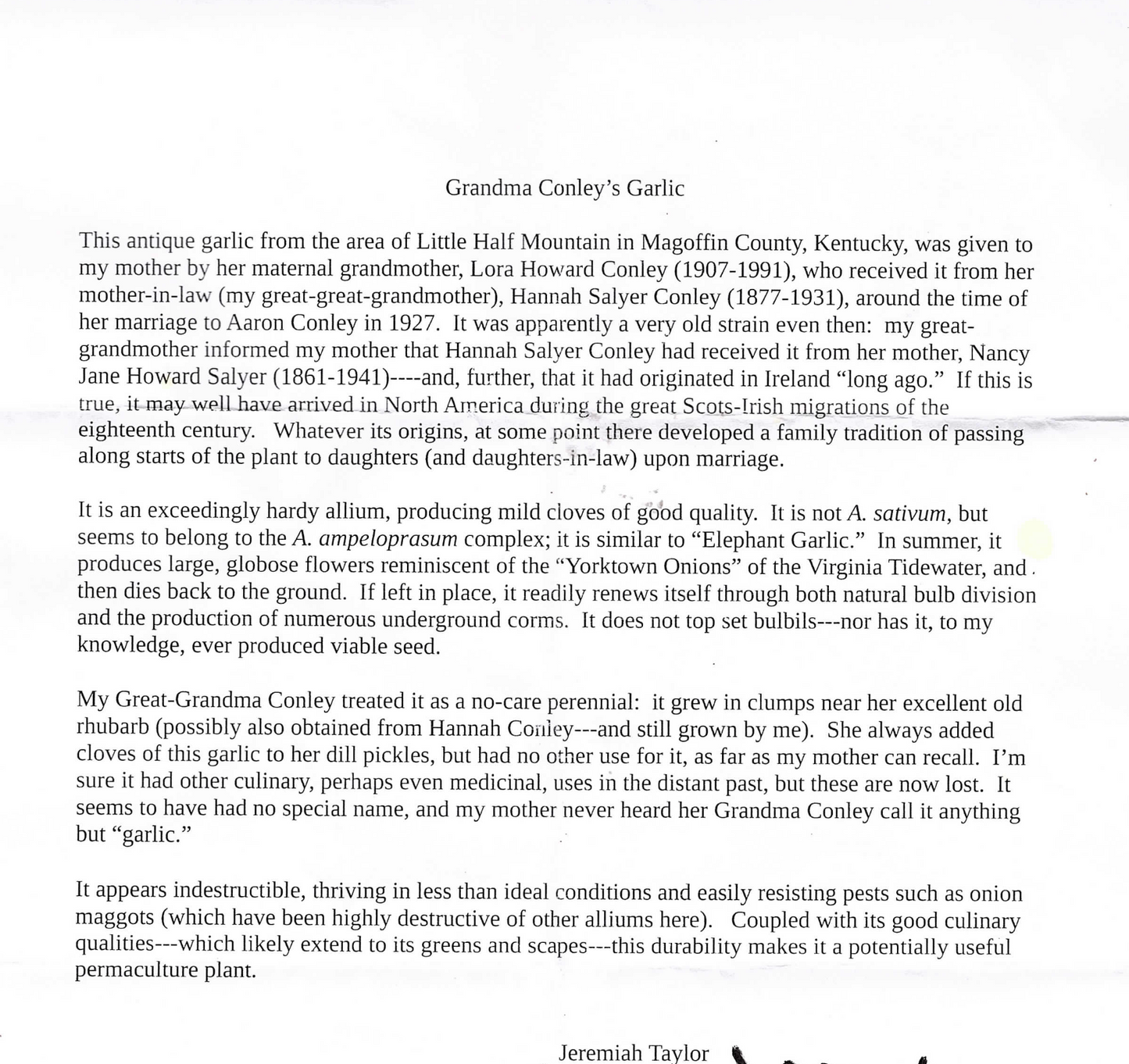 Conley's Perennial Garlic | Naturally Grown