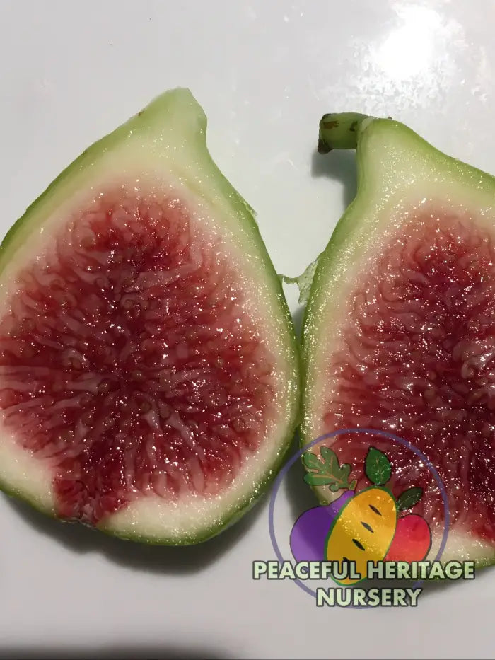 Battaglia Green Fig | Naturally Grown