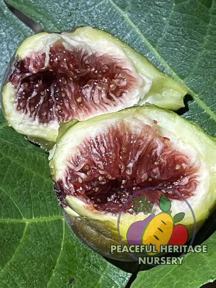 Cole De Dame Grise Fig | Naturally Grown