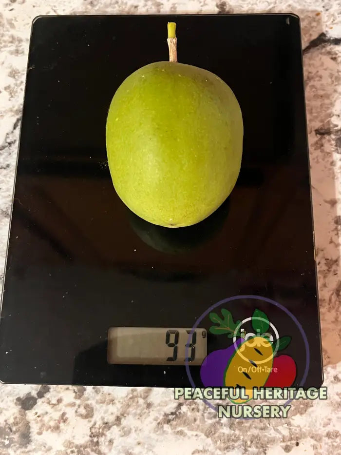 Genesis Hardy Passionfruit Vine | Naturally Grown ORGANIC