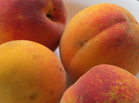 Contender Peach