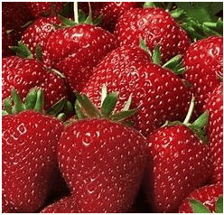 Seascape Strawberry