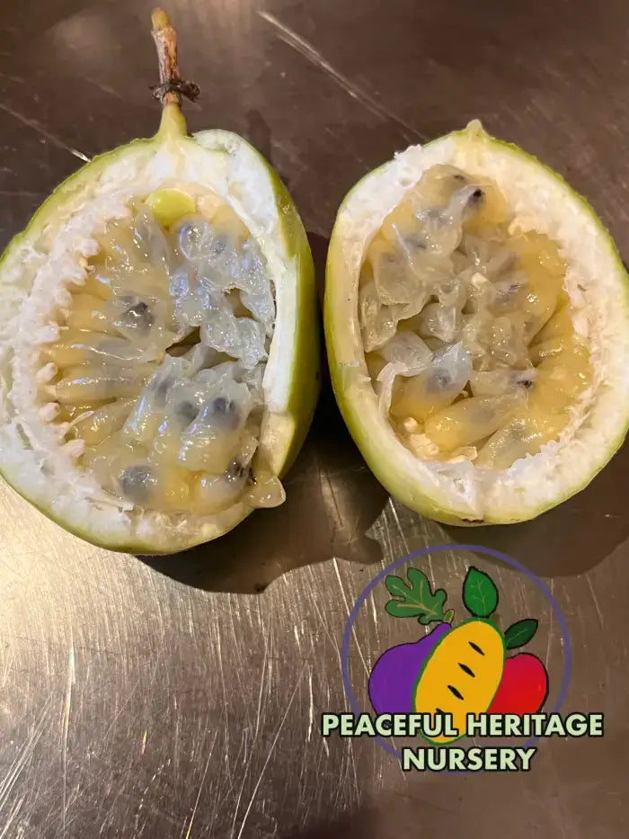 Superior Passionfruit Seed Packet | Peaceful Heritage Nursery Seed