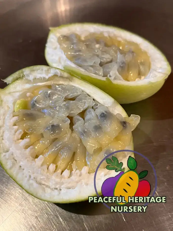 Superior Passionfruit Seed Packet | Peaceful Heritage Nursery Seed