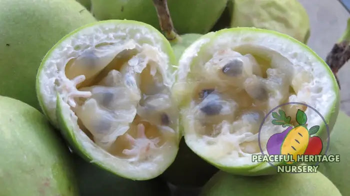 Superior Passionfruit Seed Packet - NATURALLY GROWN 20 Seeds Seed
