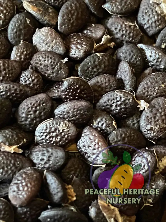 seeds from passion flower Superior Passionfruit Seed Packet