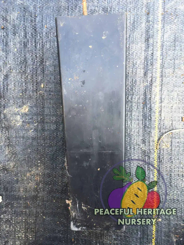 Ultra-Select Pawpaw Trees POLLINATION BUNDLE - 2 YR - NATURALLY GROWN 2 -Tree BUNDLE SUPREME GRADE 2-3 FT + ORGANIC