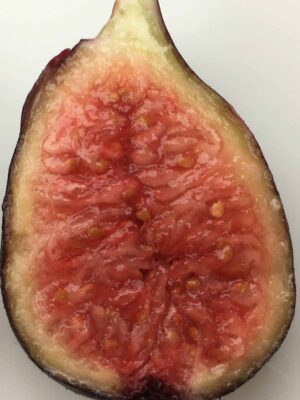 Violette de Bordeaux Fig - Naturally Grown - Image 4