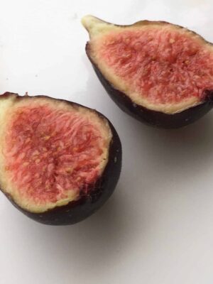 Violette de Bordeaux Fig - Naturally Grown - Image 3