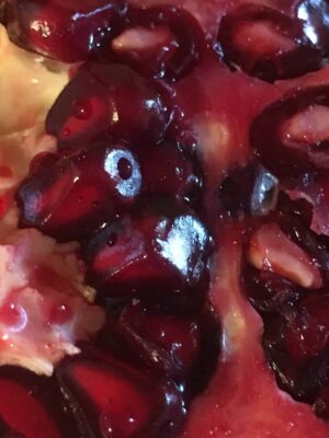 Salavatski Cold Hardy Pomegranate - Naturally Grown - Image 3