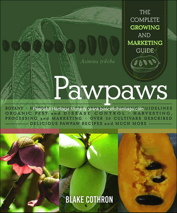 Pawpaws:  The Complete Growing and Marketing Guide