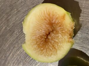 Peter's Honey Fig - NEW!!! Naturally Grown - Image 6