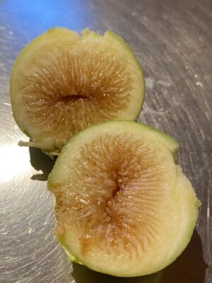 Peter's Honey Fig - NEW!!! Naturally Grown